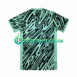 Brazil Goalkeeper Greencolor Third Football Shirts Copa America 2024 Men LS