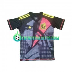 Mexico Goalkeeper Blackcolor Home Football Shirts Copa America 2024 Men LS