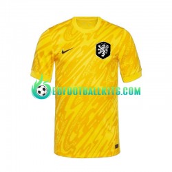 Netherlands Goalkeeper Away Football Shirts Yellowcolor Euro 2024 Men LS