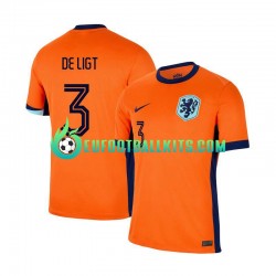 Netherlands Matthijs de Ligt 3 Home Football Shirts Euro 2024 Men LS