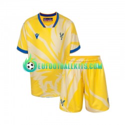 Crystal Palace Away Football Shirts 2024-2025 Kids LS