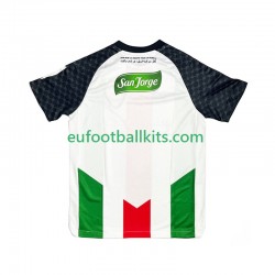 Club Deportivo Palestino Home Football Shirts 2025-2026 Men LS