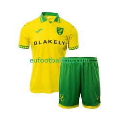 Norwich City Home Football Shirts 2025-2026 Kids LS