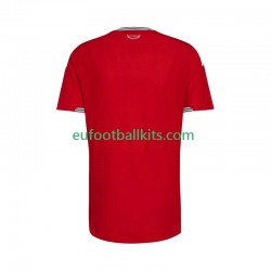 Wales Home Football Shirts 2026 Men LS