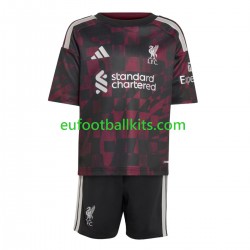 Liverpool Third Football Shirts 2026-2027 Kids LS