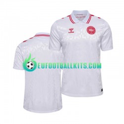 Denmark Away Football Shirts Euro 2024 Men LS