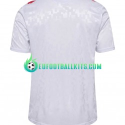 Denmark Away Football Shirts Euro 2024 Men LS