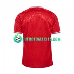 Denmark Redcolor Home Football Shirts Euro 2024 Men LS