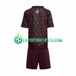 Mexico Home Football Shirts Copa America 2024 Kids LS
