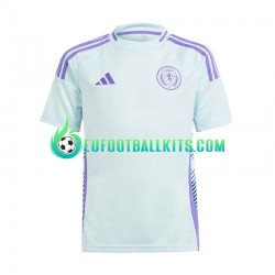 Scotland Away Football Shirts Euro 2024 Men LS