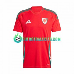 Wales Redcolor Home Football Shirts 2024 Men LS