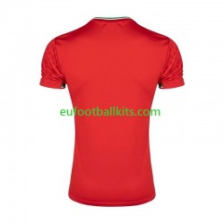 Iran Away Football Shirts 2026 Men LS
