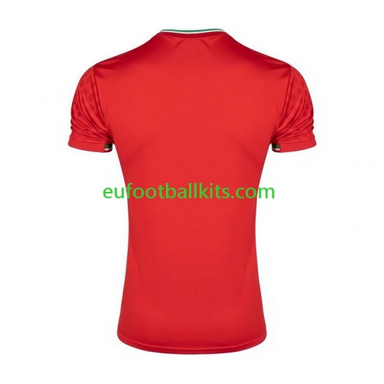 Iran Away Football Shirts 2026 Men LS