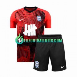 Birmingham City Away Football Shirts 2023-2024 Kids LS