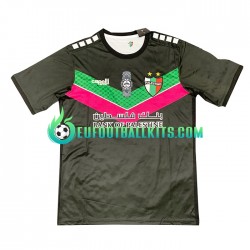 Club Deportivo Palestino Away Football Shirts 2022-2023 Men LS