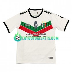 Club Deportivo Palestino Third Football Shirts 2022-2023 Men LS