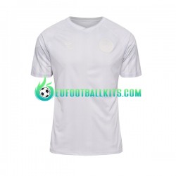 Denmark Away Football Shirts World Cup 2022 Men LS