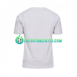 Denmark Away Football Shirts World Cup 2022 Men LS