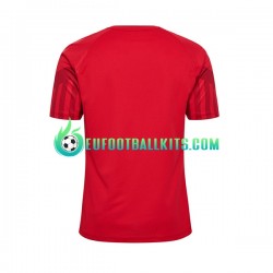 Denmark Home Football Shirts World Cup 2022 Men LS
