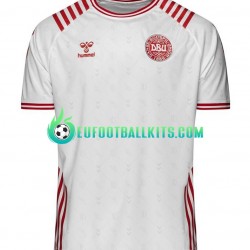 Denmark Special Away Football Shirts World Cup 2022 Men LS