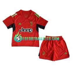 Juventus Goalkeeper Away Football Shirts 2023-2024 Kids LS
