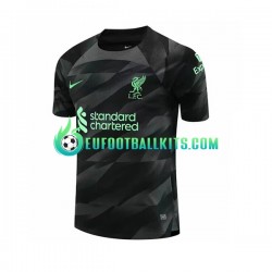 Liverpool Goalkeeper Away Football Shirts 2023-2024 Men LS