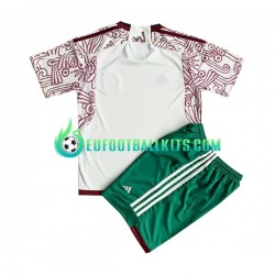 Mexico Away Football Shirts World Cup 2022 Kids LS