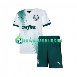 Palmeiras Away Football Shirts 2023-2024 Kids LS