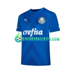 Palmeiras Goalkeeper Home Football Shirts 2023-2024 Men LS