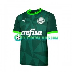 Palmeiras Home Football Shirts 2023-2024 Men LS