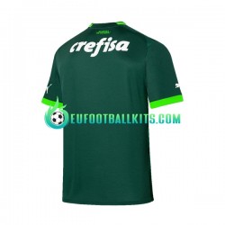 Palmeiras Home Football Shirts 2023-2024 Men LS