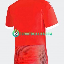 Peru Away Football Shirts 2023 Men LS