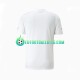 Serbia Away Football Shirts World Cup 2022 Men LS