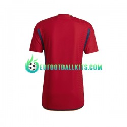 Spain Home Football Shirts World Cup 2022 Men LS