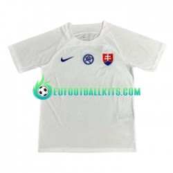 Slovakia Away Football Shirts Euro 2024 Men LS