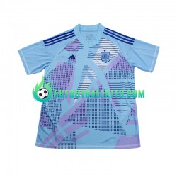 Spain Goalkeeper Away Football Shirts Bluecolor Euro 2024 Men LS