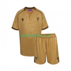 Crystal Palace Away Football Shirts 2025-2026 Kids LS