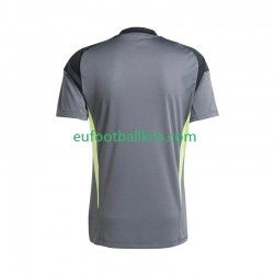 Juventus Goalkeeper Away Football Shirts 2025-2026 Men LS
