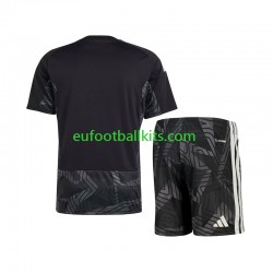 Aston Villa Goalkeeper Away Football Shirts 2026-2027 Kids LS