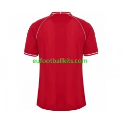 Denmark Home Football Shirts 2026 Men LS