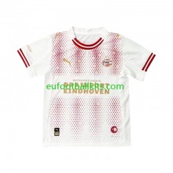 PSV Eindhoven Efteling Fourth Football Shirts 2025-2026 Men LS