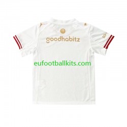 PSV Eindhoven Efteling Fourth Football Shirts 2025-2026 Men LS
