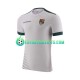 Bolivia Away Football Shirts 2023 Men LS