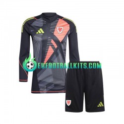 Wales Goalkeeper Home Football Shirts Blackcolor 2024 Kids SS