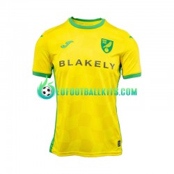 Norwich City Home Football Shirts 2024-2025 Men LS