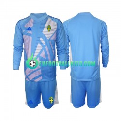 Sweden Goalkeeper Away Football Shirts Bluecolor 2024 Kids SS