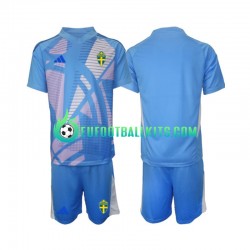 Sweden Goalkeeper Away Football Shirts Bluecolor 2024 Kids LS